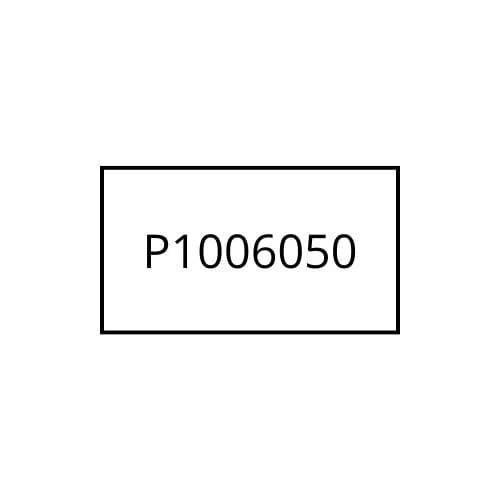Zebra P1006050