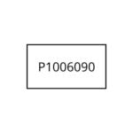 P1006090