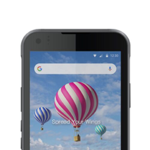 Terminal Mobil RFID BlueBird HF550X-RFID (4) Terminal Mobil RFID BlueBird HF550X-RFID (4)