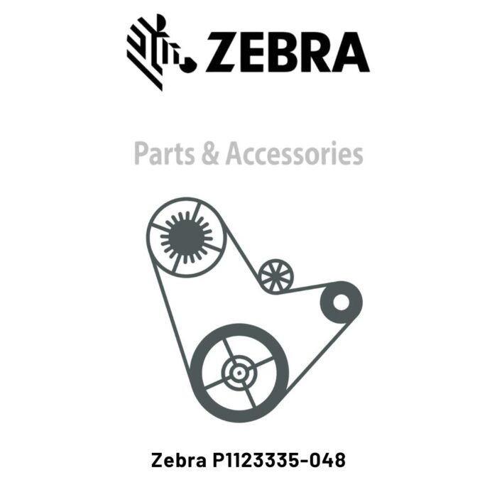 Zebra-P1123335-048.jpg