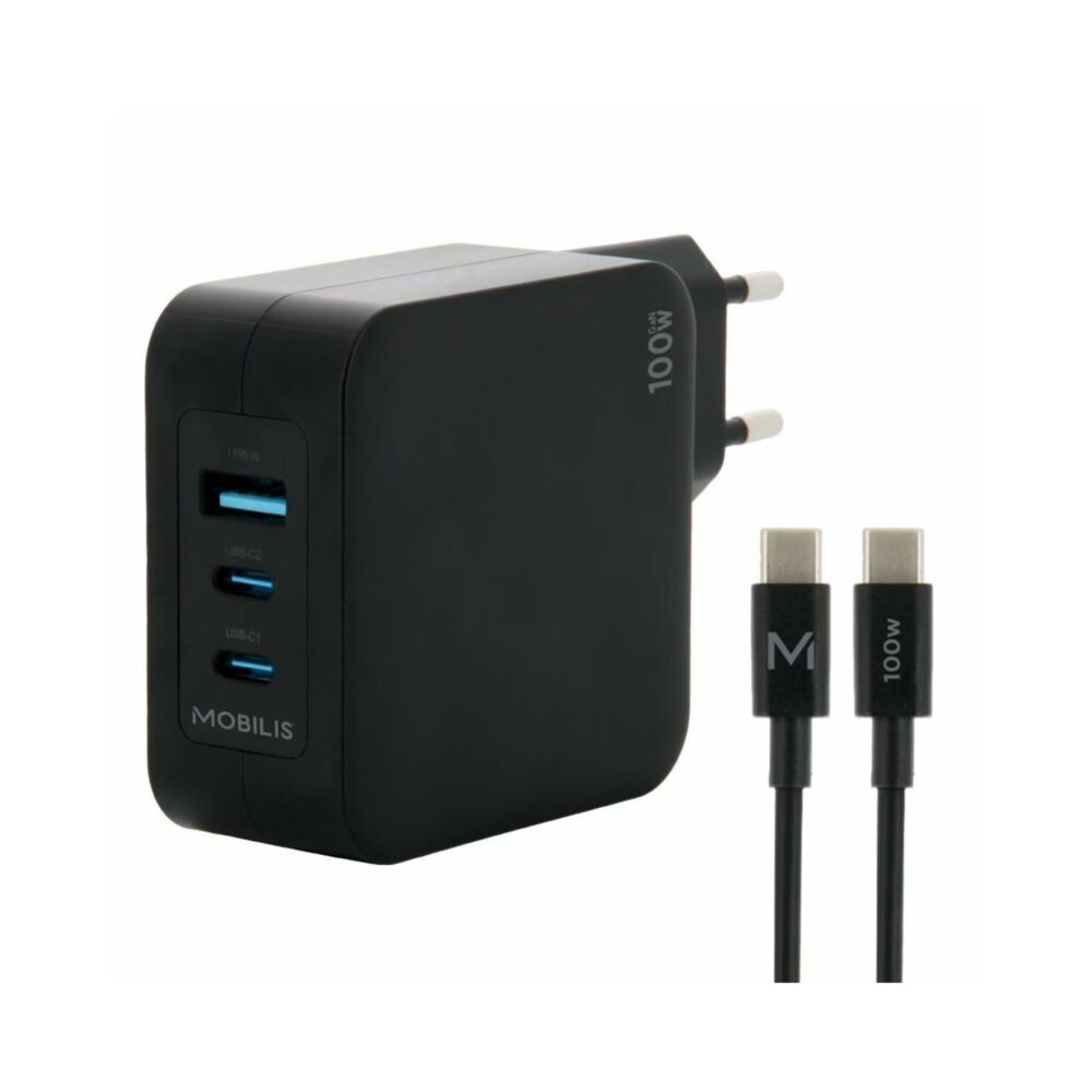 Încărcător de perete 100W Landi 001365