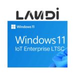 Licență Windows 11 IoT LTSC Landi YB01001731