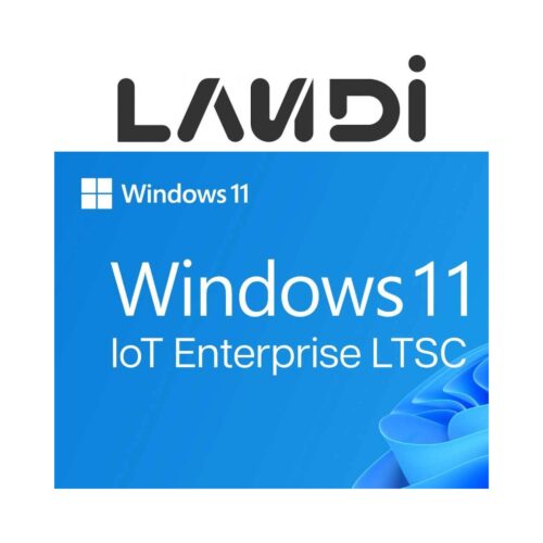 Landi WINDOWS 11 IOT LTSC